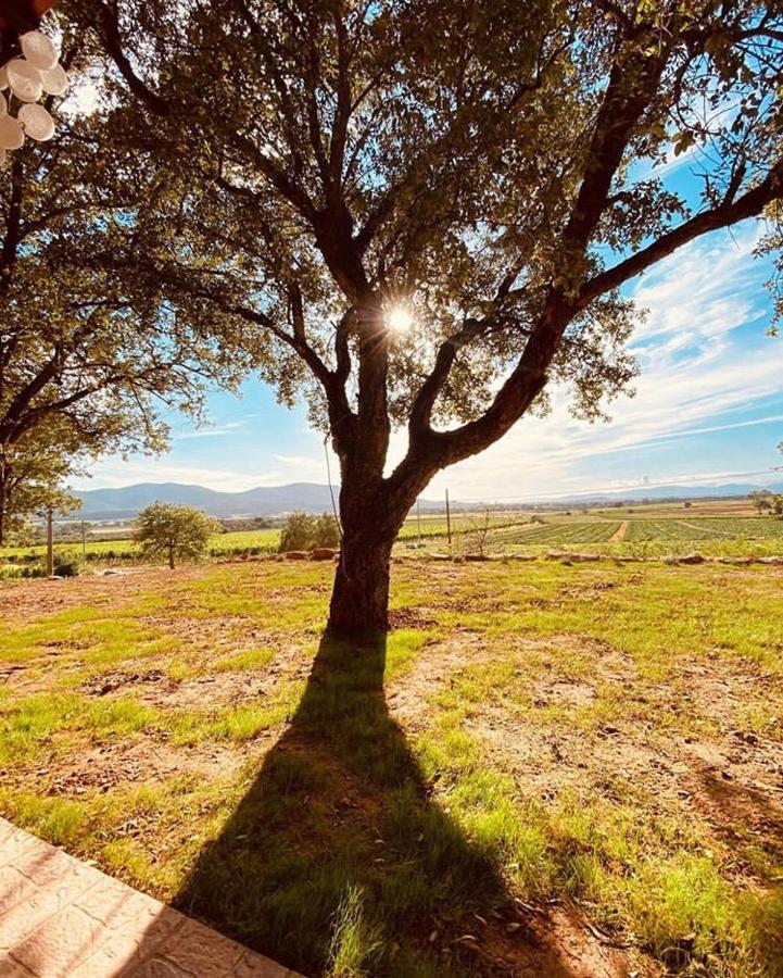 When In Maremma Apartment Alberese Exterior foto